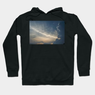 Laughing Man II Hoodie